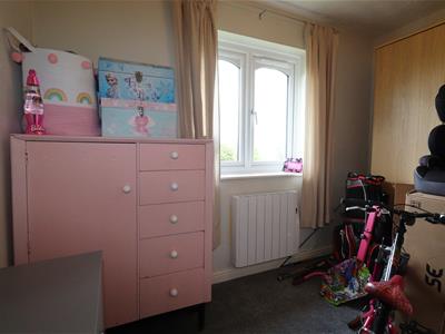 Picture 7